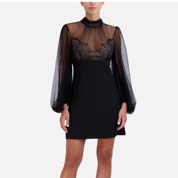 BCBGMaxAzria Dresses & Skirts - BCBGMAXAZRIA Blouson Sleeve Dress Size 10 (NWT)